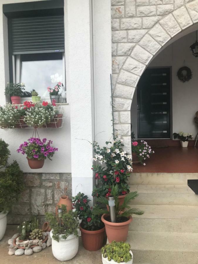 נובי ווינודולסקי Apartments Porat מראה חיצוני תמונה