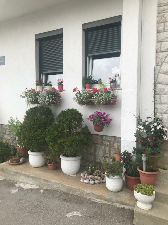 נובי ווינודולסקי Apartments Porat מראה חיצוני תמונה